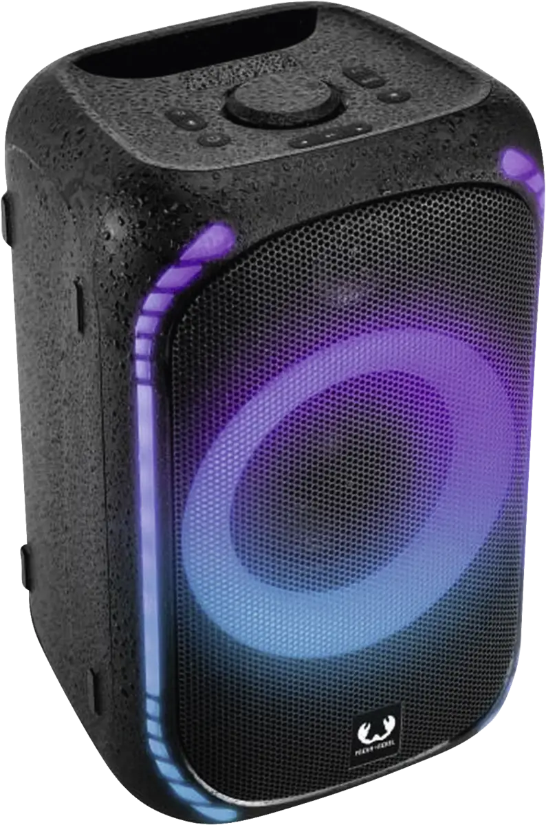221545 Party Speaker Medium