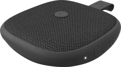 Fresh 'n Rebel Rocbox Bold XS BTS