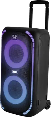 221546 Party Speaker Large with Trolley