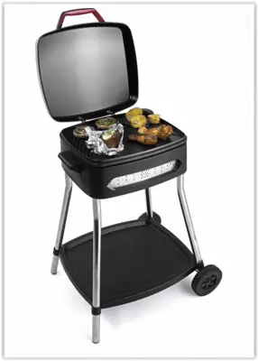 Fritel BBQ3278