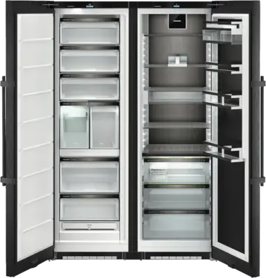 XRFbs 5295-23 (SFNbsd 529i-23+SRBbsc 529i-23)