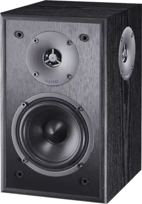 Magnat Monitor S10 D Paar