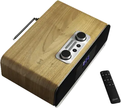 BluTune 300L DAB+/ BT