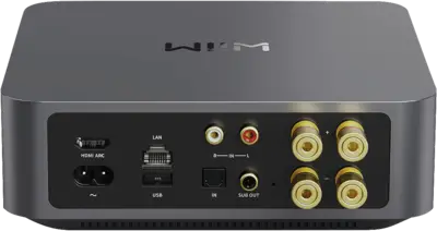 WiiM Amp